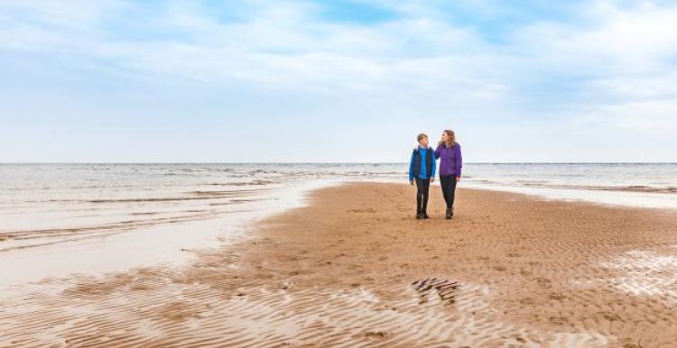 Annual report beach people walking