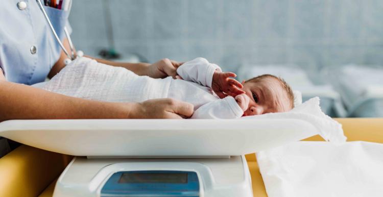 Small baby being weighed Small baby being weighed