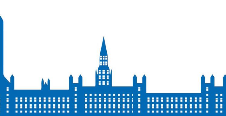 Graphic of the house of commons